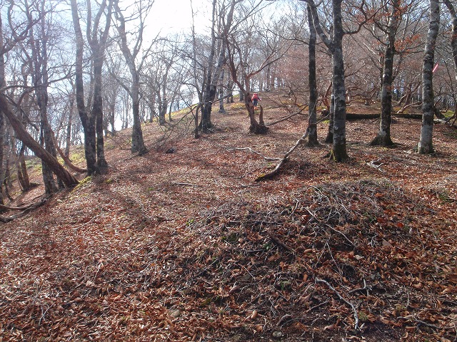 c0097754_22918.jpg