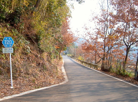 大王駅伝復路2013-2日目(日田〜宇佐神宮)_c0060862_11492890.jpg