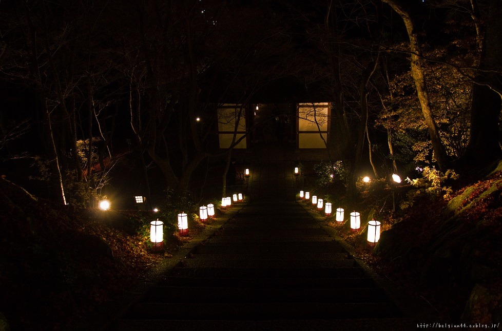 京都嵐山花灯路２０１３～常寂光寺_f0102363_1336893.jpg