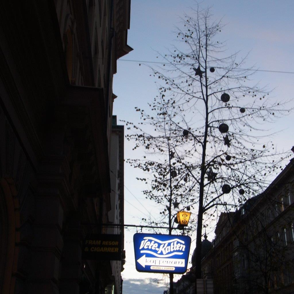 a0123465_194258.jpg