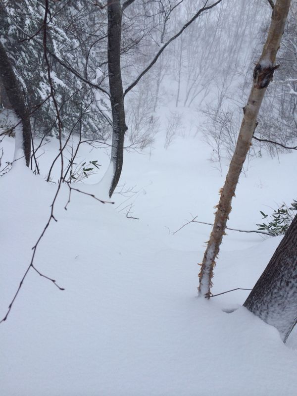 北海道☆千歳空港〜札幌国際スキー場へ_c0151965_1737454.jpg
