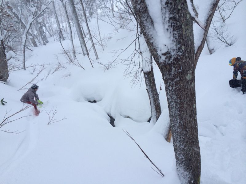 北海道☆千歳空港〜札幌国際スキー場へ_c0151965_17374654.jpg