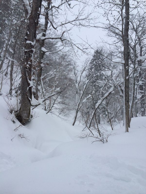 北海道☆千歳空港〜札幌国際スキー場へ_c0151965_17381761.jpg