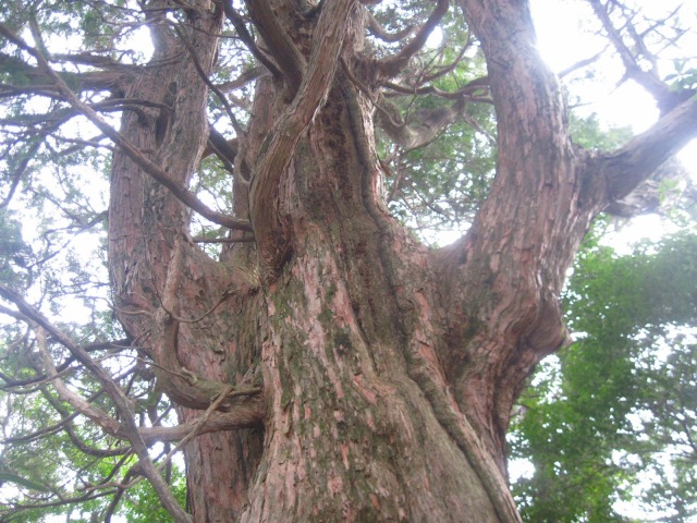c0219866_1155779.jpg