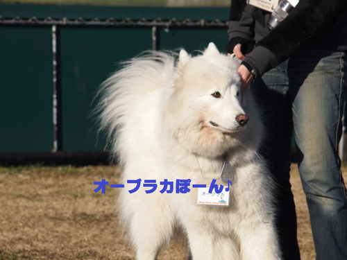 d0251768_17252529.png