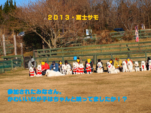 d0251768_1774084.png