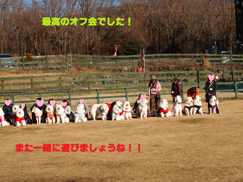 d0251768_178113.png