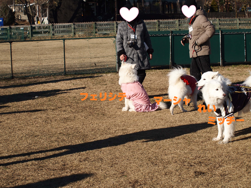 d0251768_1783615.png