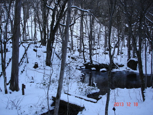 奥入瀬渓流　昨日に比べ雪が少なくなりました _d0165378_16384790.jpg