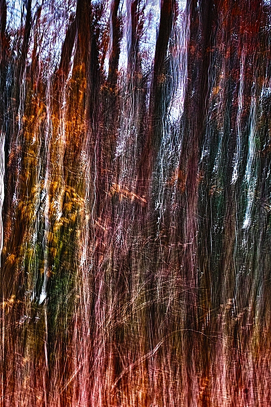 b0227088_7335697.jpg