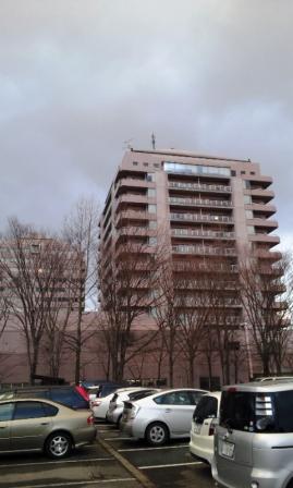 e0140892_7451882.jpg