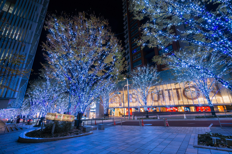 Roppongi Snow and Blue_a0185693_648838.jpg