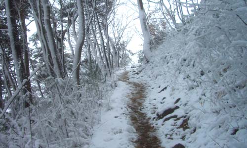 雪が舞い始めた・・“千歳山”_b0099994_1503724.jpg