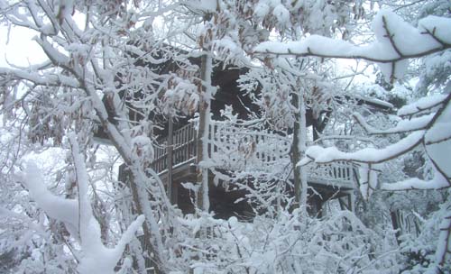 雪が舞い始めた・・“千歳山”_b0099994_1511543.jpg