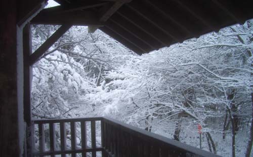 雪が舞い始めた・・“千歳山”_b0099994_152129.jpg