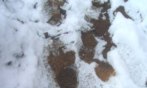 雪が舞い始めた・・“千歳山”_b0099994_153543.jpg