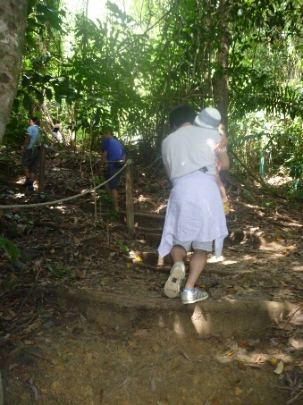 ２０１３年秋　ボルネオ島旅行⑥　～オランウータンウォッチング～_e0205596_14365934.jpg