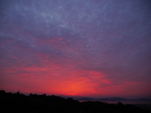 f0144003_01484259.jpg