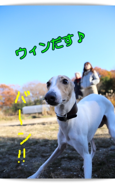 e0100007_2263693.jpg