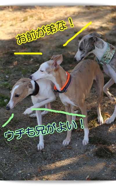 e0100007_2274352.jpg
