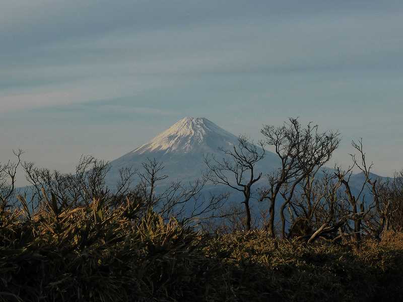 f0182513_23262429.jpg