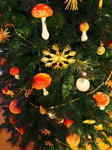 キノコのクリスマスツリー_a0254318_1362180.jpg