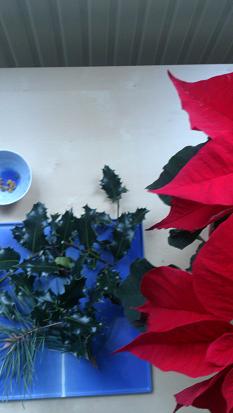 b0305124_7124483.jpg