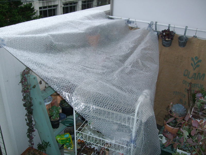 f0243726_147964.jpg