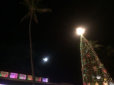 e0069433_1839152.jpg