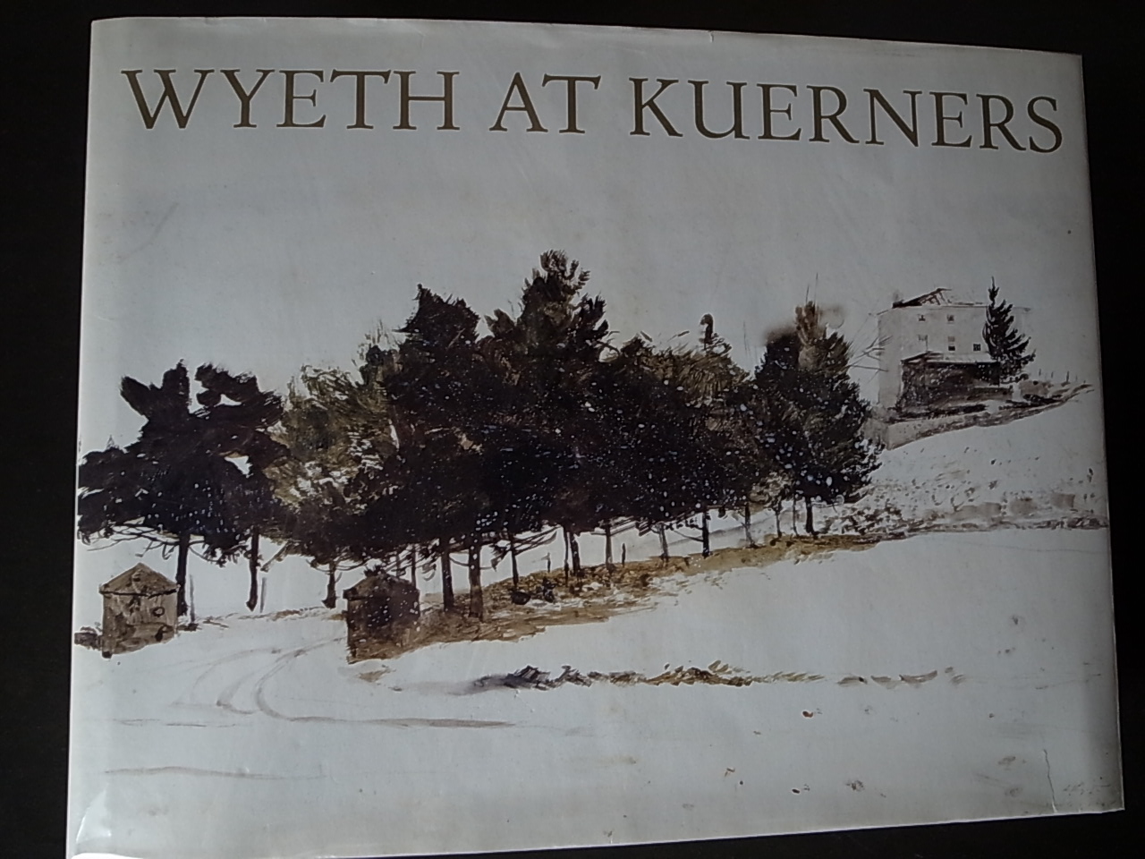 WYETH AT KUERNERS / Betsy James Wyeth_a0227034_148312.jpg