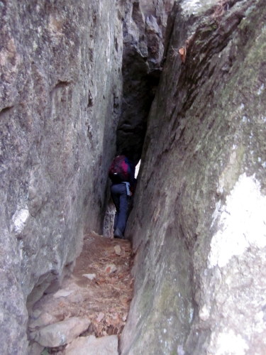c0038434_17304427.jpg