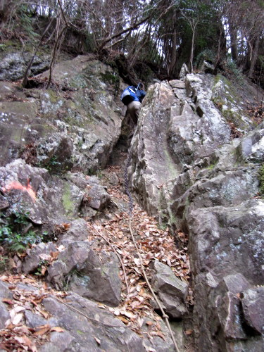 c0038434_1730625.jpg