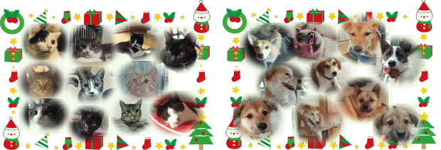 c0264744_15492012.gif
