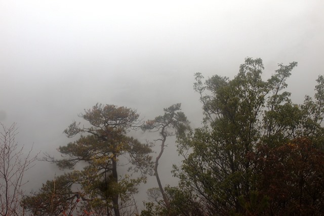 大岩岳_b0227552_19440236.jpg