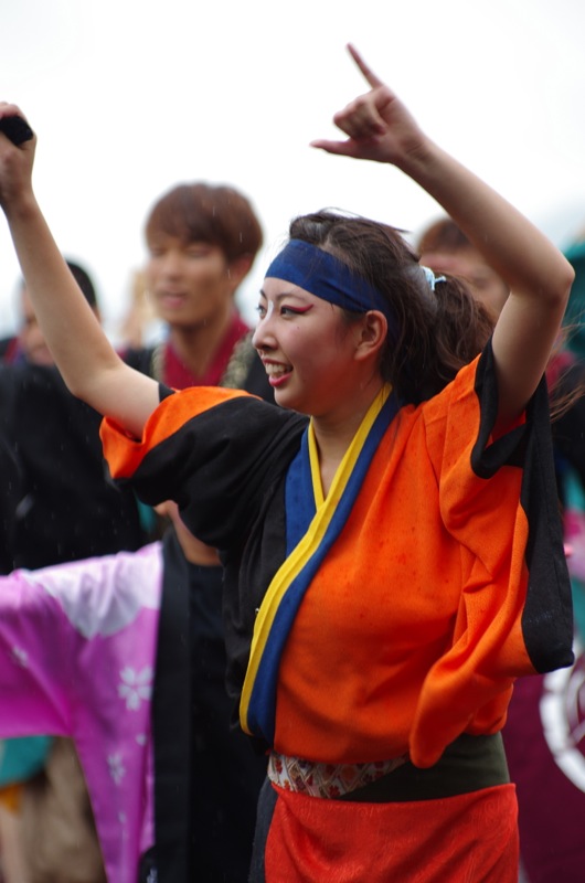 神戸よさこい２０１３二日目その８（総踊りその２）_a0009554_22312324.jpg