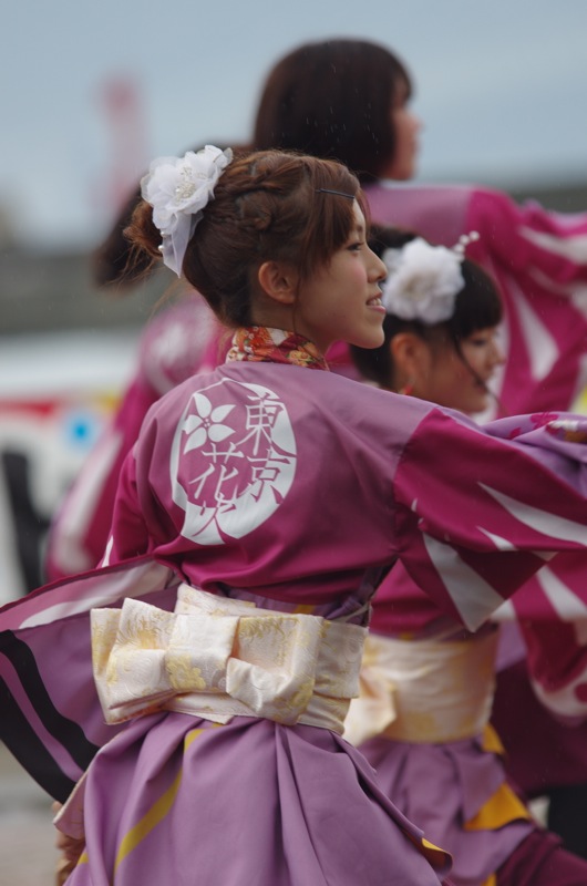 神戸よさこい２０１３二日目その９（早稲田大学よさこいチーム東京花火）_a0009554_23344997.jpg