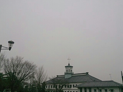 d0252366_7553431.jpg