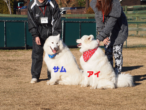 d0251768_1659942.png