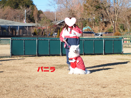 d0251768_171078.png