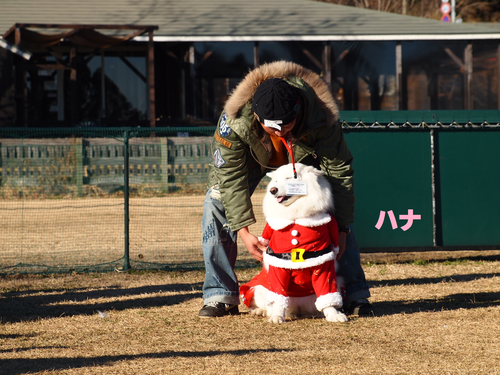 d0251768_1781864.png