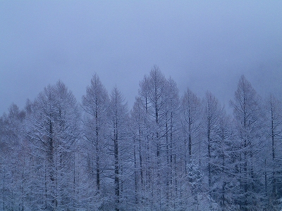 f0182173_11225051.jpg