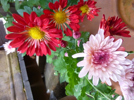 a0053480_21403131.jpg