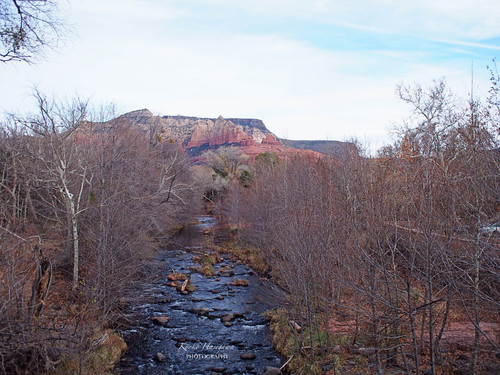 e0148185_12474442.jpg