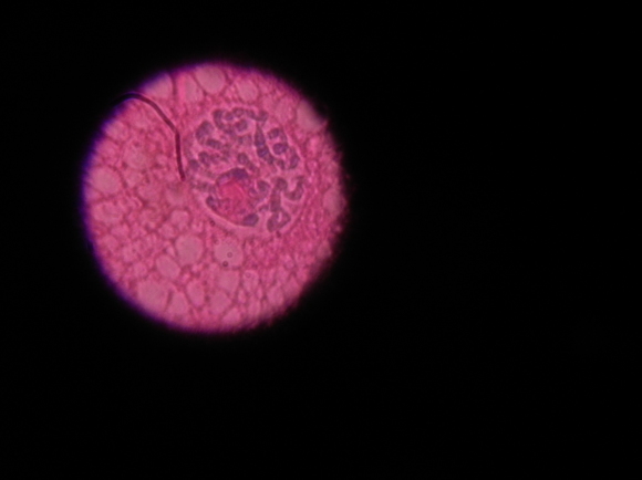 d0224990_20541985.jpg