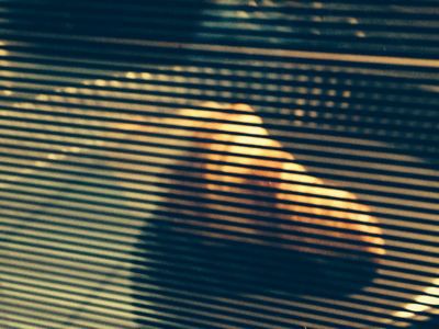 e0266095_8221698.jpg