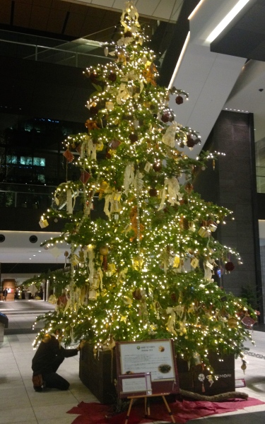 e0007801_00341444.jpg