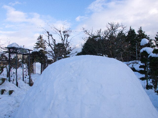 c0008502_855256.jpg