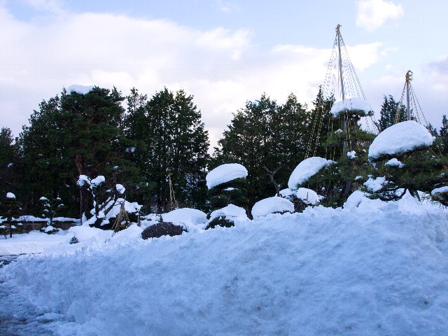 c0008502_8555061.jpg