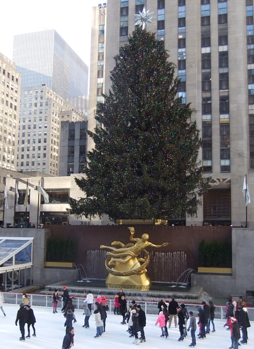 ロックフェラーセンターのクリスマスツリー　2013_b0007805_1402913.jpg