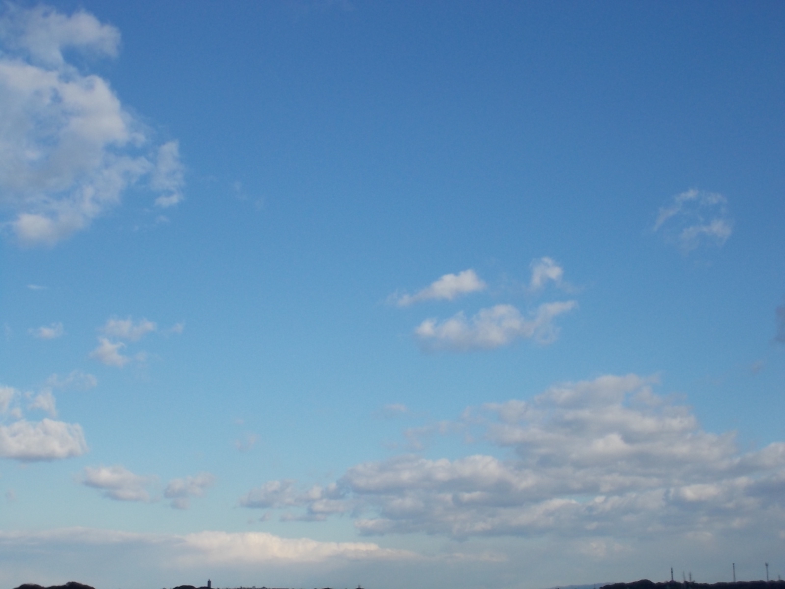 b0277505_2159311.jpg